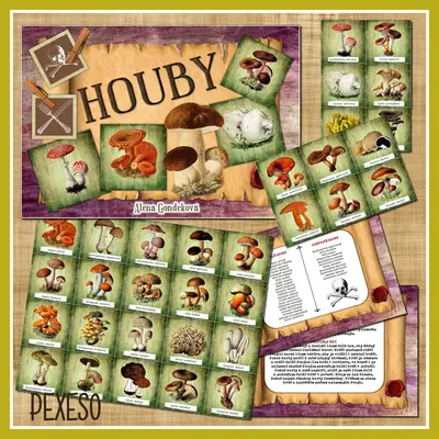 PEXESO - HOUBY (pdf soubor - elektronický obsah)