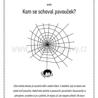 BABÍ LÉTO ANEB KAM SE SCHOVAL PAVOUČEK