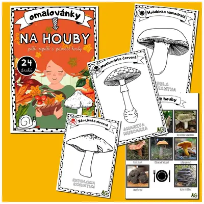 OMALOVÁNKY " NA HOUBY" :-) - 24 DRUHŮ HUB