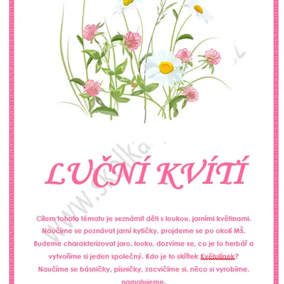LUČNÍ KVÍTÍ
