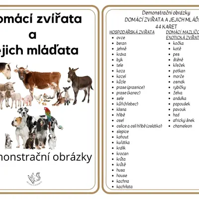 Domácí zvířata a jejich mláďata - demonstrační obrázky