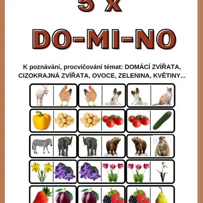 Didaktická hra 5 x DOMINO (2)