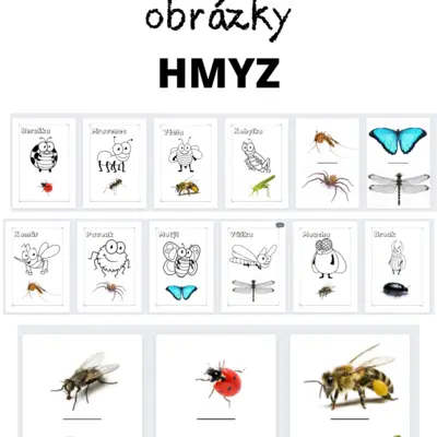 Dem. obr. hmyz + kreslený hmyz 