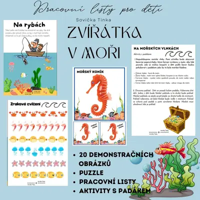 Zvířátka v moři