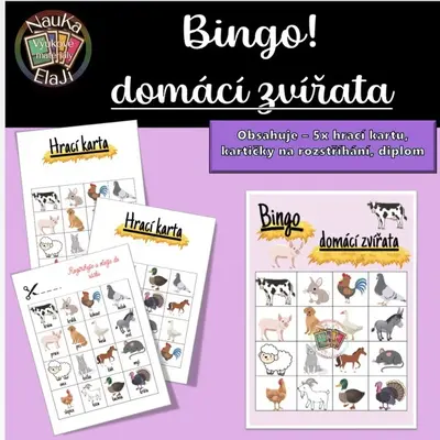 BINGO! Domácí zvířata 