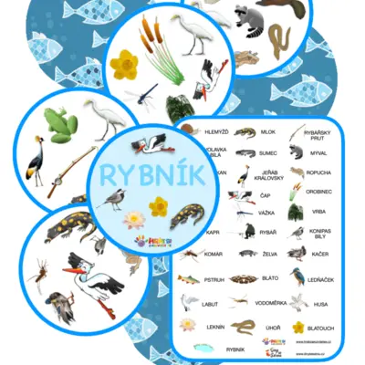 Dabduo U rybníka (postřehovka)