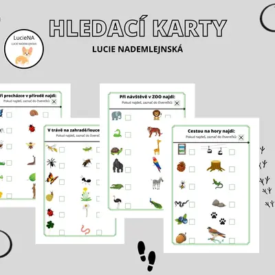 Hledací karty