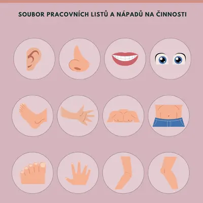 LIDSKÉ TĚLO pracovní listy a činnosti