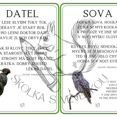 ZVÍŘÁTKA V LESE - autorské básničky