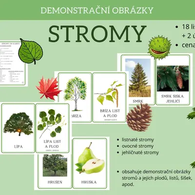 STROMY - demonstrační obrázky