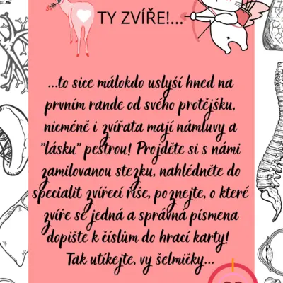Valentýnská zvířecí hra