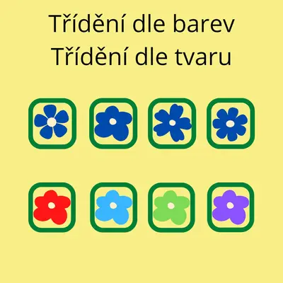 Květiny - třídění dle barev, dle tvaru