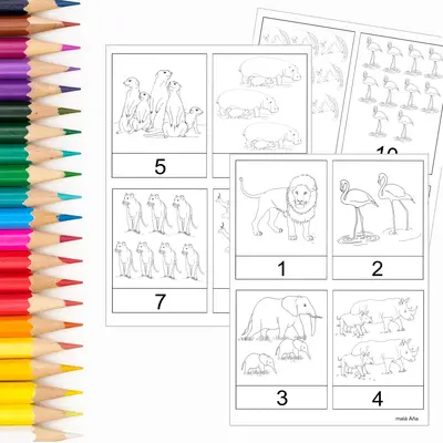 POČÍTÁNÍ 1-10 AFRIKA