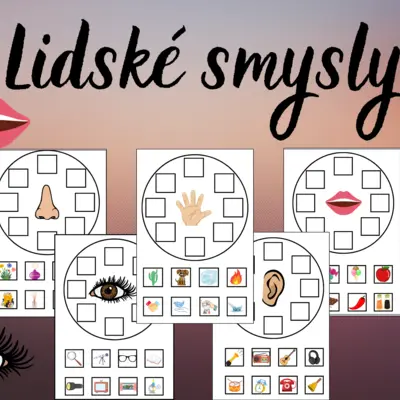 Lidské smysly