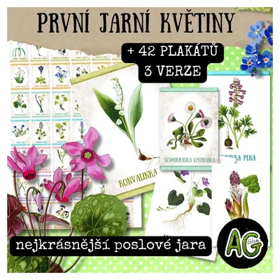 PRVNÍ JARNÍ KVĚTINY - 42 PLAKÁTŮ, 3 VERZE PRO TISK