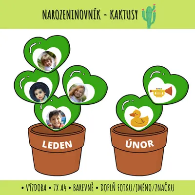 Narozeninovník - kaktusy
