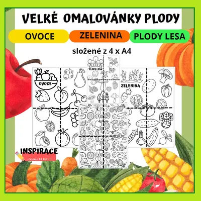 VELKÉ omalovánky OVOCE, ZELENINY, PLODY LESA