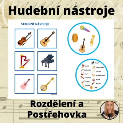Hudební nástroje - rozdělení a postřehovka