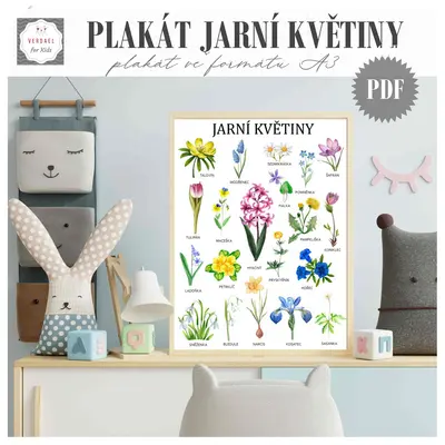 PLAKÁT JARNÍ KVĚTINY