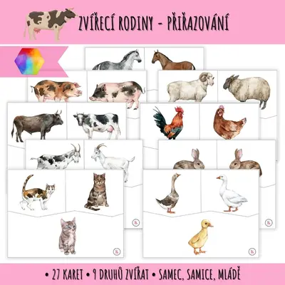 Zvířecí rodiny - přiřazovací karty
