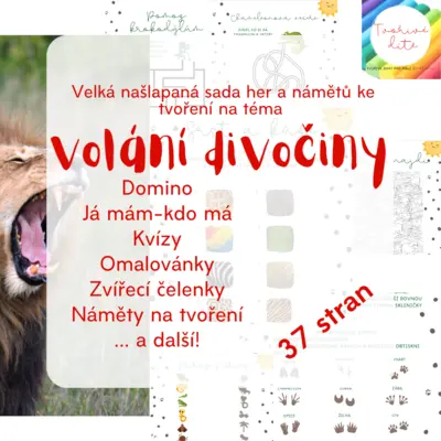 Volání divočiny - Velká sada her, kvízů a námětů ke tvoření