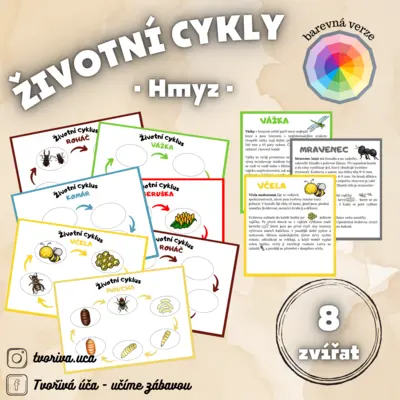 Životní cyklus - Hmyz 