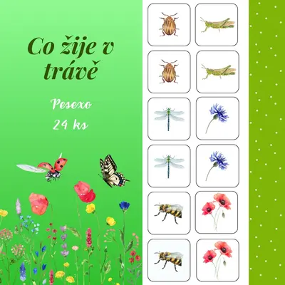Co žije v trávě - Pexeso