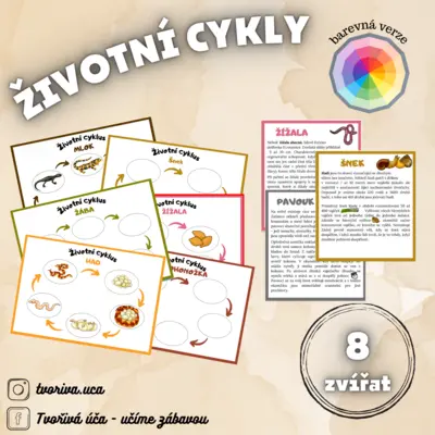Životní cyklus 2 
