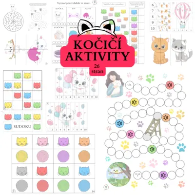 Kočičí aktivity