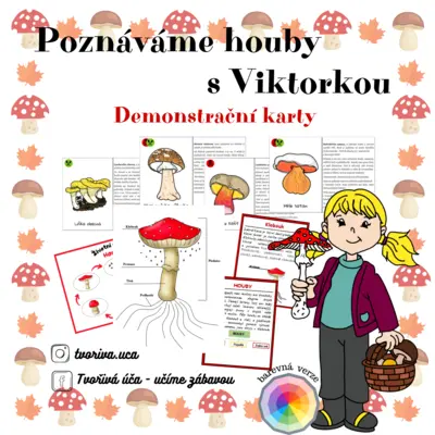 Poznáváme houby