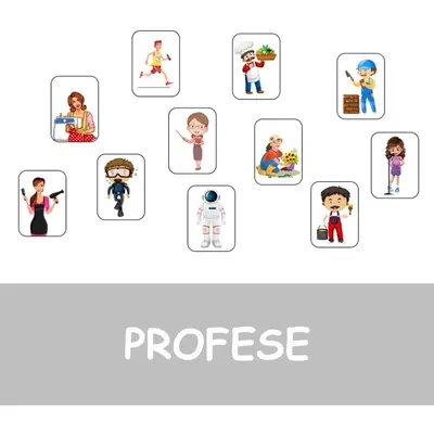 PROFESE (povolání)
