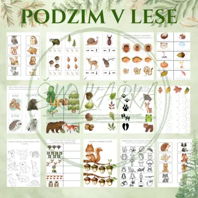 PODZIM V LESE