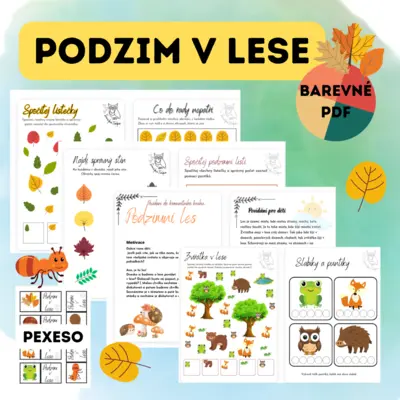 Podzim v lese _ barevný PDF