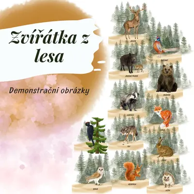 Zvířátka z lesa - Demonstrační obrázky