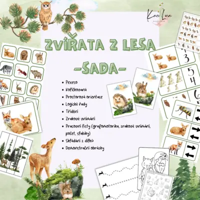 SADA - Zvířata z lesa (lesní zvěř)