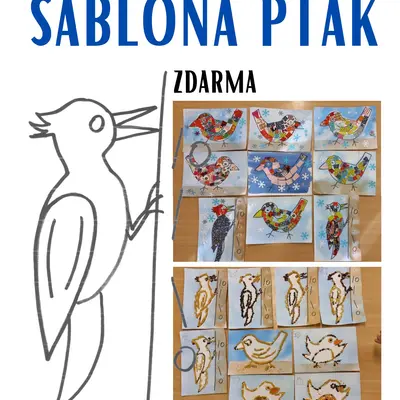 Šablona pták - tvoření (zdarma)
