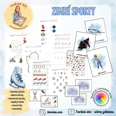 Zimní sporty 