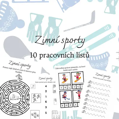 Zimní sporty