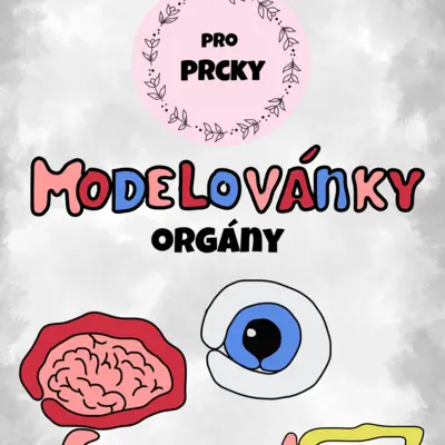 Modelovánky - Orgány (modelovací podložky)