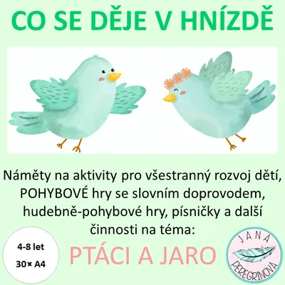 CO SE DĚJE V HNÍZDĚ- PTÁCI NA JAŘE/ různorodé aktivity