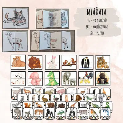 Mláďata - zvířata