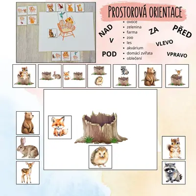 Prostorová orientace