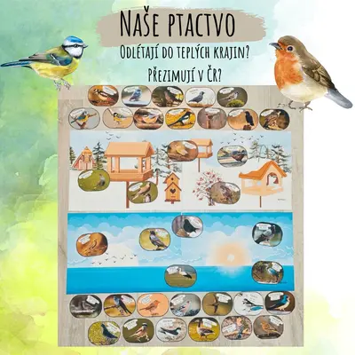Naše ptactvo - Ptáci