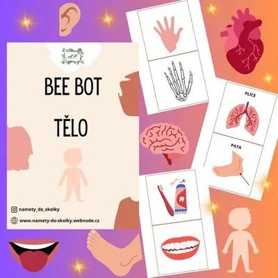 Bee bot - Tělo 