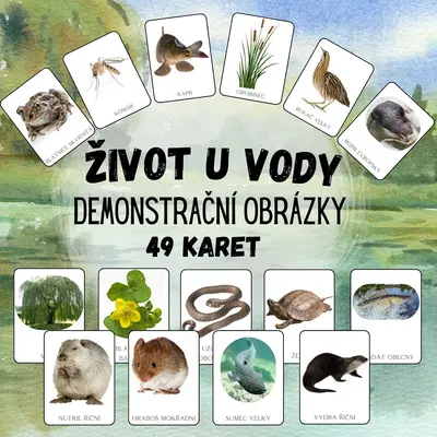 Život u vody, zvířata, rostliny - DEMONSTRAČNÍ OBRÁZKY