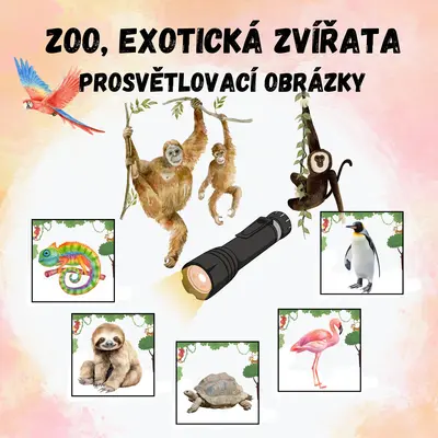 ZOO, Exotická zvířata - prosvětlovací obrázky
