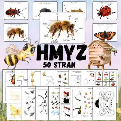 HMYZ, VČELY - soubor aktivit