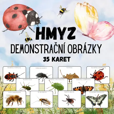 HMYZ - Demonstrační obrázky
