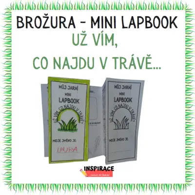 MINI lapbook - už vím,  co najdu v trávě...