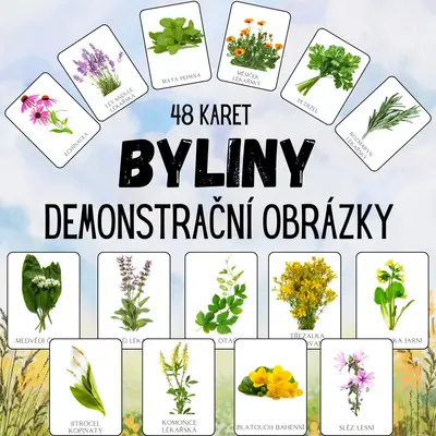 BYLINY, jedlé květiny - demonstrační obrázky